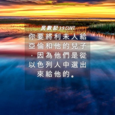 Picture 04 - 民 數 記 3:9 CUVT - 你 要 將 利 未 人 給 亞 倫 和 他 的 - Bible Verse Picture