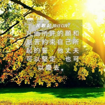 Picture 04 - 民 數 記 30:13 CUVT - 凡 他 所 許 的 願 和 刻 苦 約 束 自 - Bible Verse Picture