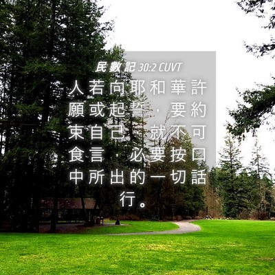 Picture 04 - 民 數 記 30:2 CUVT - 人 若 向 耶 和 華 許 願 或 起 誓 ， - Bible Verse Picture