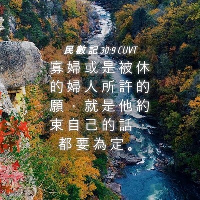 Picture 04 - 民 數 記 30:9 CUVT - 寡 婦 或 是 被 休 的 婦 人 所 許 的 - Bible Verse Picture