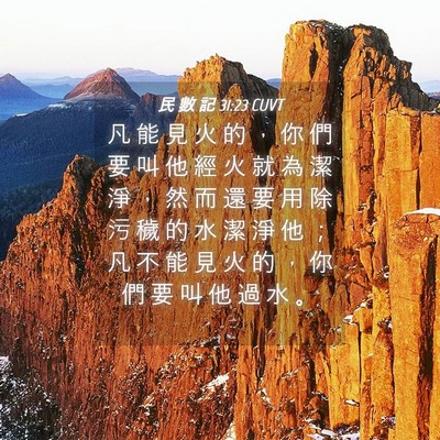 Picture 04 - 民 數 記 31:23 CUVT - 凡 能 見 火 的 ， 你 們 要 叫 他 經 - Bible Verse Picture