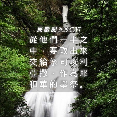 Picture 04 - 民 數 記 31:29 CUVT - 從 他 們 一 半 之 中 ， 要 取 出 來 - Bible Verse Picture