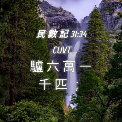 Picture 04 - 民 數 記 31:34 CUVT - 驢 六 萬 一 千 匹 - Bible Verse Picture