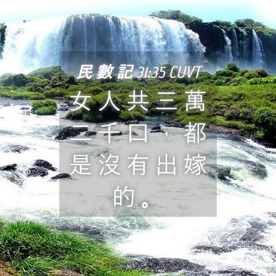 Picture 04 - 民 數 記 31:35 CUVT - 女 人 共 三 萬 二 千 口 ， 都 是 沒 - Bible Verse Picture