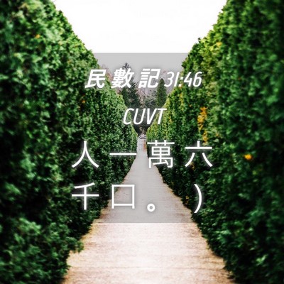 Picture 04 - 民 數 記 31:46 CUVT - 人 一 萬 六 千 口 。 - Bible Verse Picture