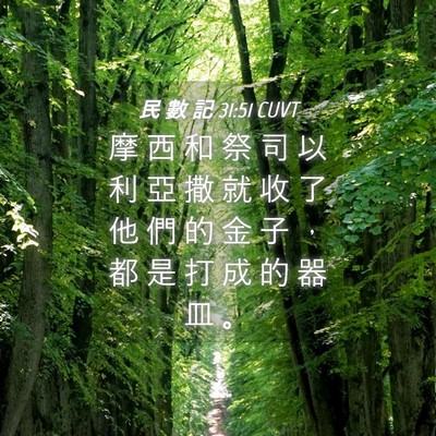 Picture 04 - 民 數 記 31:51 CUVT - 摩 西 和 祭 司 以 利 亞 撒 就 收 了 - Bible Verse Picture