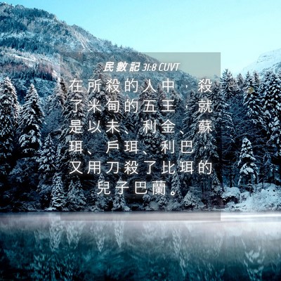 Picture 04 - 民 數 記 31:8 CUVT - 在 所 殺 的 人 中 ， 殺 了 米 甸 的 - Bible Verse Picture