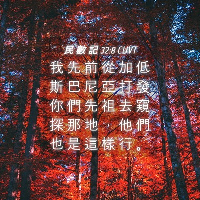 Picture 04 - 民 數 記 32:8 CUVT - 我 先 前 從 加 低 斯 巴 尼 亞 打 發 - Bible Verse Picture