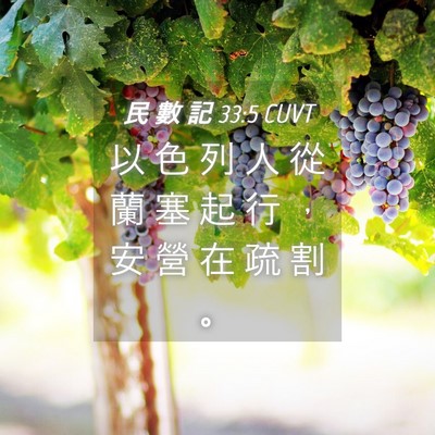 Picture 04 - 民 數 記 33:5 CUVT - 以 色 列 人 從 蘭 塞 起 行 ， 安 營 - Bible Verse Picture
