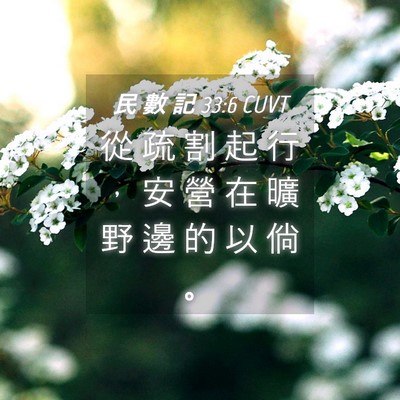 Picture 04 - 民 數 記 33:6 CUVT - 從 疏 割 起 行 ， 安 營 在 曠 野 邊 - Bible Verse Picture