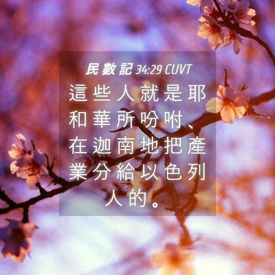 Picture 04 - 民 數 記 34:29 CUVT - 這 些 人 就 是 耶 和 華 所 吩 咐 、 - Bible Verse Picture