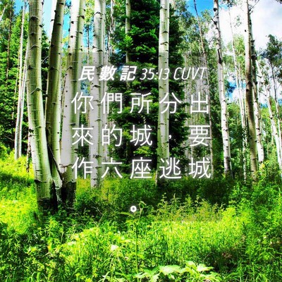 Picture 04 - 民 數 記 35:13 CUVT - 你 們 所 分 出 來 的 城 ， 要 作 六 - Bible Verse Picture