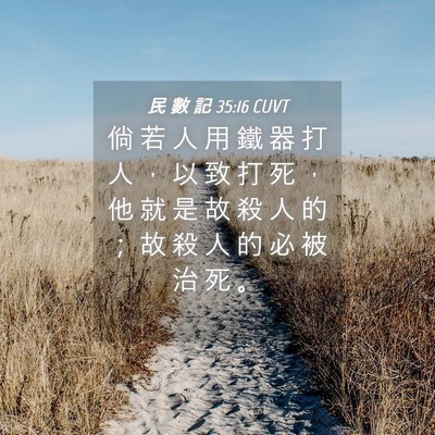 Picture 04 - 民 數 記 35:16 CUVT - 倘 若 人 用 鐵 器 打 人 ， 以 致 打 - Bible Verse Picture
