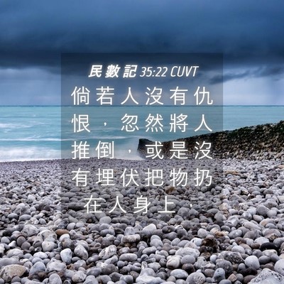 Picture 04 - 民 數 記 35:22 CUVT - 倘 若 人 沒 有 仇 恨 ， 忽 然 將 人 - Bible Verse Picture