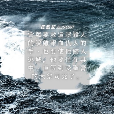 Picture 04 - 民 數 記 35:25 CUVT - 會 眾 要 救 這 誤 殺 人 的 脫 離 報 - Bible Verse Picture