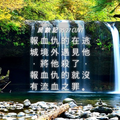 Picture 04 - 民 數 記 35:27 CUVT - 報 血 仇 的 在 逃 城 境 外 遇 見 他 - Bible Verse Picture