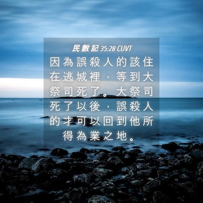 Picture 04 - 民 數 記 35:28 CUVT - 因 為 誤 殺 人 的 該 住 在 逃 城 裡 - Bible Verse Picture