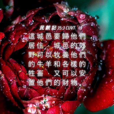 Picture 04 - 民 數 記 35:3 CUVT - 這 城 邑 要 歸 他 們 居 住 ， 城 邑 - Bible Verse Picture