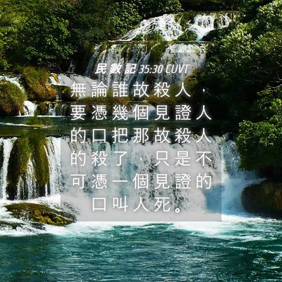Picture 04 - 民 數 記 35:30 CUVT - 無 論 誰 故 殺 人 ， 要 憑 幾 個 見 - Bible Verse Picture