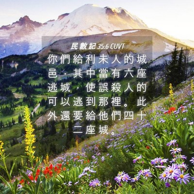 Picture 04 - 民 數 記 35:6 CUVT - 你 們 給 利 未 人 的 城 邑 ， 其 中 - Bible Verse Picture