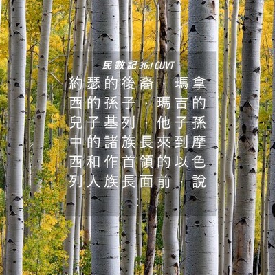 Picture 04 - 民 數 記 36:1 CUVT - 約 瑟 的 後 裔 ， 瑪 拿 西 的 孫 子 - Bible Verse Picture