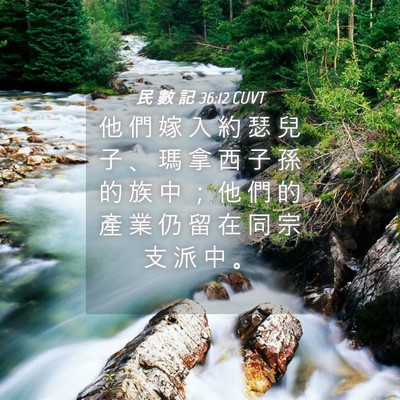 Picture 04 - 民 數 記 36:12 CUVT - 他 們 嫁 入 約 瑟 兒 子 、 瑪 拿 西 - Bible Verse Picture