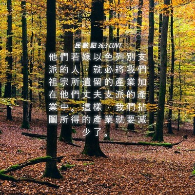 Picture 04 - 民 數 記 36:3 CUVT - 他 們 若 嫁 以 色 列 別 支 派 的 人 - Bible Verse Picture