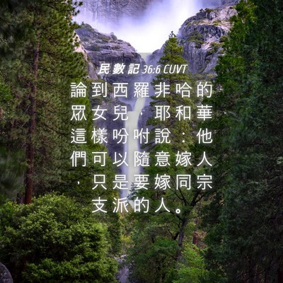 Picture 04 - 民 數 記 36:6 CUVT - 論 到 西 羅 非 哈 的 眾 女 兒 ， 耶 - Bible Verse Picture
