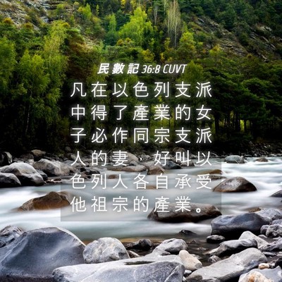 Picture 04 - 民 數 記 36:8 CUVT - 凡 在 以 色 列 支 派 中 得 了 產 業 - Bible Verse Picture