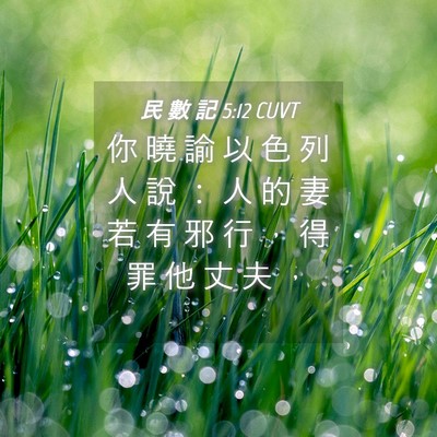 Picture 04 - 民 數 記 5:12 CUVT - 你 曉 諭 以 色 列 人 說 ： 人 的 妻 - Bible Verse Picture