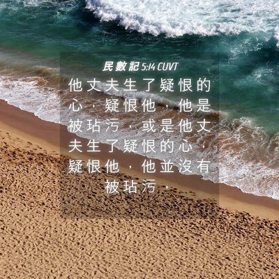 Picture 04 - 民 數 記 5:14 CUVT - 他 丈 夫 生 了 疑 恨 的 心 ， 疑 恨 - Bible Verse Picture