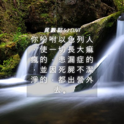 Picture 04 - 民 數 記 5:2 CUVT - 你 吩 咐 以 色 列 人 ， 使 一 切 長 - Bible Verse Picture