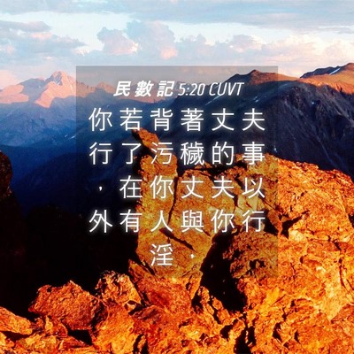 Picture 04 - 民 數 記 5:20 CUVT - 你 若 背 著 丈 夫 行 了 污 穢 的 事 - Bible Verse Picture