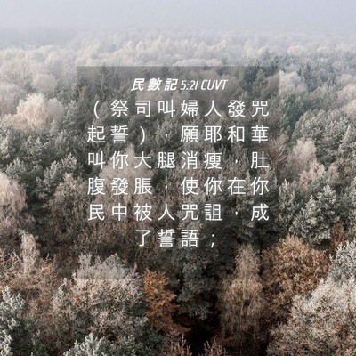 Picture 04 - 民 數 記 5:21 CUVT - （ 祭 司 叫 婦 人 發 咒 起 誓 ） ， - Bible Verse Picture