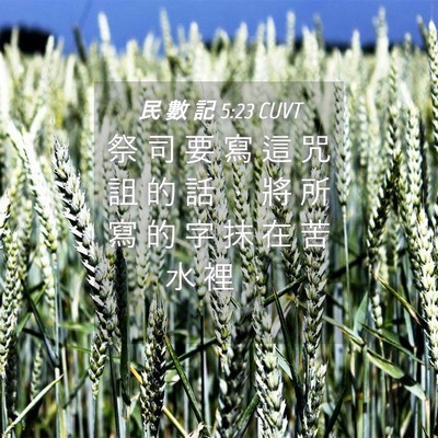 Picture 04 - 民 數 記 5:23 CUVT - 祭 司 要 寫 這 咒 詛 的 話 ， 將 所 - Bible Verse Picture