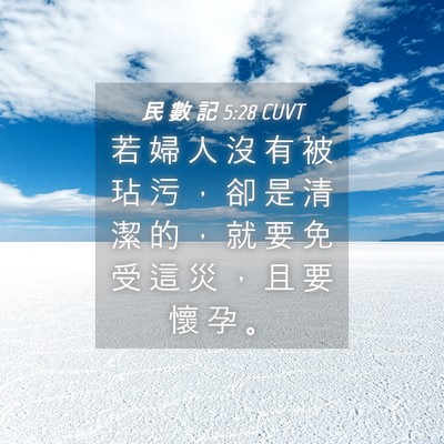 Picture 04 - 民 數 記 5:28 CUVT - 若 婦 人 沒 有 被 玷 污 ， 卻 是 清 - Bible Verse Picture