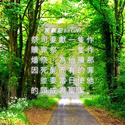 Picture 04 - 民 數 記 6:11 CUVT - 祭 司 要 獻 一 隻 作 贖 罪 祭 ， 一 - Bible Verse Picture