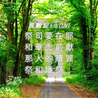 Picture 04 - 民 數 記 6:16 CUVT - 祭 司 要 在 耶 和 華 面 前 獻 那 人 - Bible Verse Picture