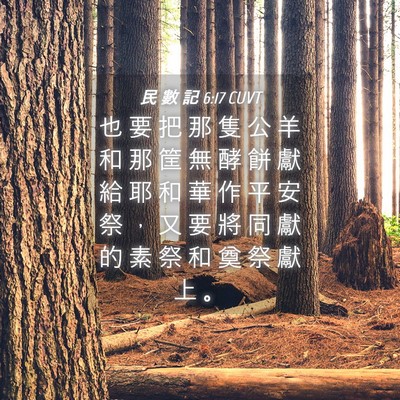 Picture 04 - 民 數 記 6:17 CUVT - 也 要 把 那 隻 公 羊 和 那 筐 無 酵 - Bible Verse Picture