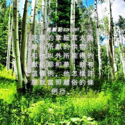 Picture 04 - 民 數 記 6:21 CUVT - 許 願 的 拿 細 耳 人 為 離 俗 所 獻 - Bible Verse Picture
