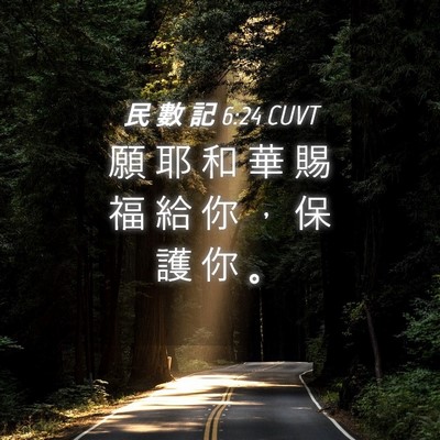 Picture 04 - 民 數 記 6:24 CUVT - 願 耶 和 華 賜 福 給 你 ， 保 護 你 - Bible Verse Picture