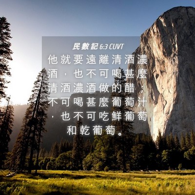 Picture 04 - 民 數 記 6:3 CUVT - 他 就 要 遠 離 清 酒 濃 酒 ， 也 不 - Bible Verse Picture
