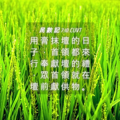 Picture 04 - 民 數 記 7:10 CUVT - 用 膏 抹 壇 的 日 子 ， 首 領 都 來 - Bible Verse Picture