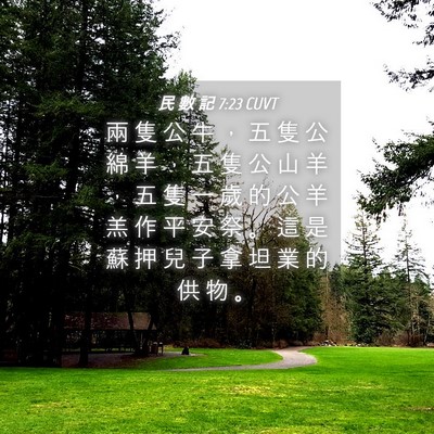 Picture 04 - 民 數 記 7:23 CUVT - 兩 隻 公 牛 ， 五 隻 公 綿 羊 ， 五 - Bible Verse Picture