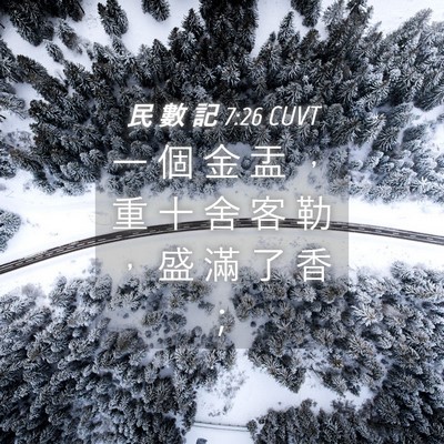Picture 04 - 民 數 記 7:26 CUVT - 一 個 金 盂 ， 重 十 舍 客 勒 ， 盛 - Bible Verse Picture