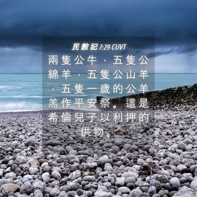 Picture 04 - 民 數 記 7:29 CUVT - 兩 隻 公 牛 ， 五 隻 公 綿 羊 ， 五 - Bible Verse Picture