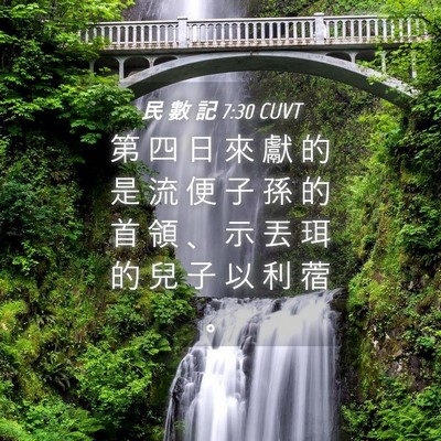 Picture 04 - 民 數 記 7:30 CUVT - 第 四 日 來 獻 的 是 流 便 子 孫 的 - Bible Verse Picture