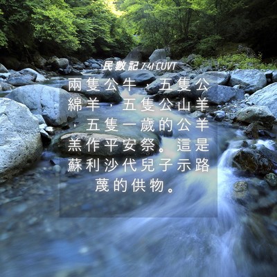 Picture 04 - 民 數 記 7:41 CUVT - 兩 隻 公 牛 ， 五 隻 公 綿 羊 ， 五 - Bible Verse Picture