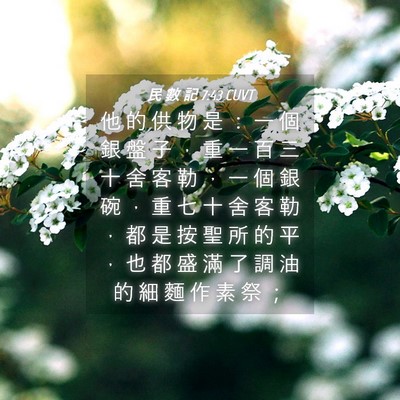 Picture 04 - 民 數 記 7:43 CUVT - 他 的 供 物 是 ： 一 個 銀 盤 子 ， - Bible Verse Picture