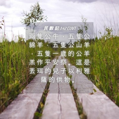 Picture 04 - 民 數 記 7:47 CUVT - 兩 隻 公 牛 ， 五 隻 公 綿 羊 ， 五 - Bible Verse Picture
